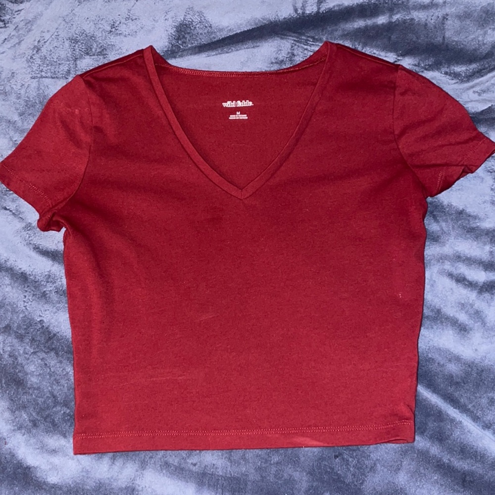 NWOT Wild Fable Maroon Cropped V-neck Top, Size M